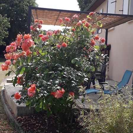 Bed and Breakfast La Salamandre De Chazelles 16 Zewnętrze zdjęcie