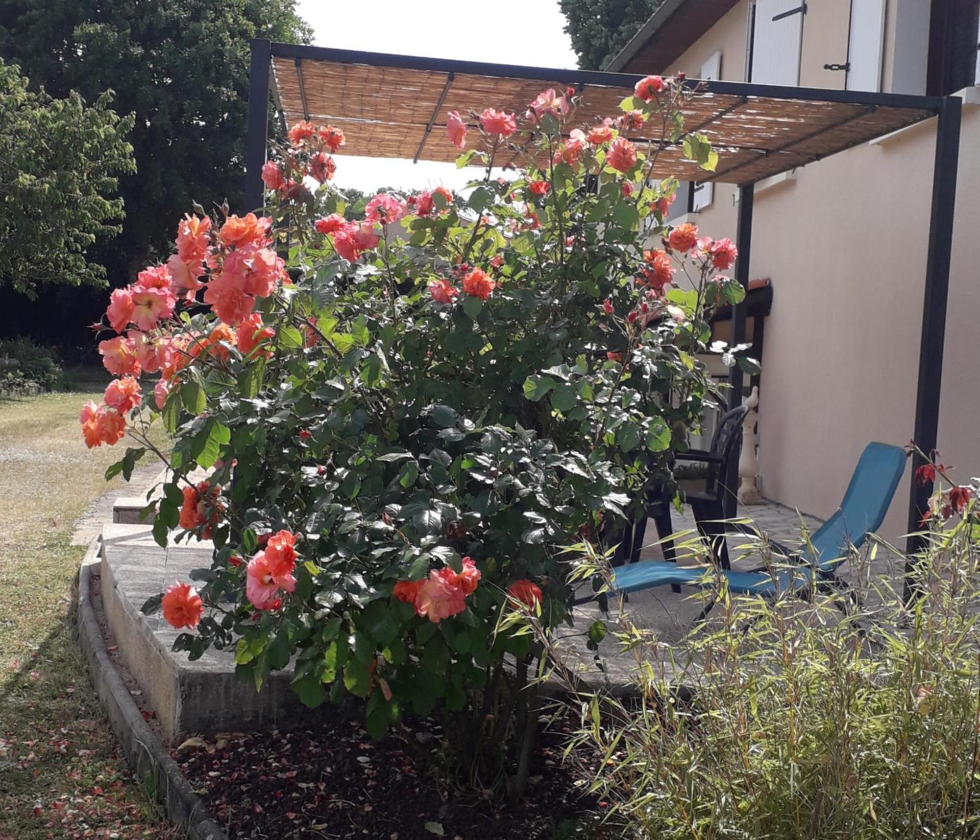 Bed and Breakfast La Salamandre De Chazelles 16 Zewnętrze zdjęcie